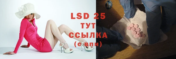 ПСИЛОЦИБИНОВЫЕ ГРИБЫ Алексеевка