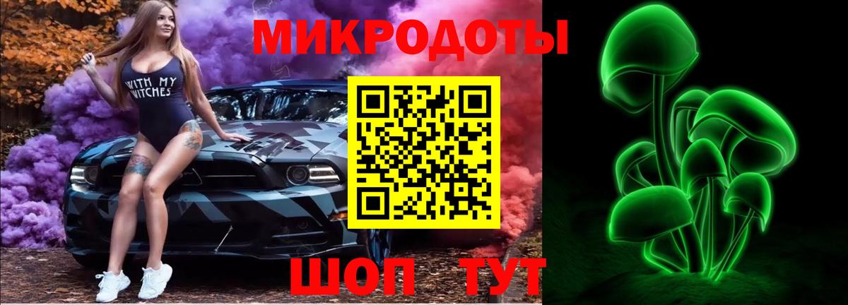 Аргун  Псилоцибиновые грибы Psilocybine cubensis  Вход с VPN 