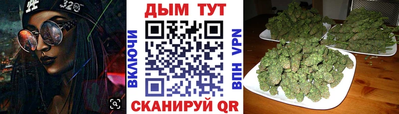 закладки  гидра ONION  Канабис планчик  Аргун 
